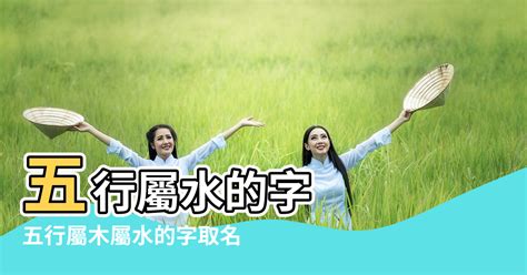 屬水的字|康熙字典五行屬水的字 共2031個